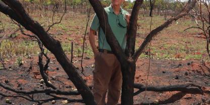Menschen sorgen sich weltweit um Klima und Waldschutz. Aber bleibt das so, wenn andere Krisen dazukommen?