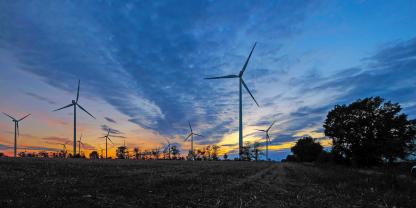 Die Strukturen vieler Reviere verändern sich derzeit.