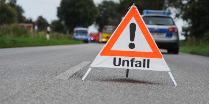 Nach einem Verkehrsunfall wird der Rüde Balou vermisst.