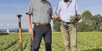 Bundeslandwirtschaftsminister Alois Rainer informiert sich bei Dr. Fred Eickmeyer (re.) von der Firma Eskusa über das Potenzial von Naturkautschuk aus russischem Löwenzahn.