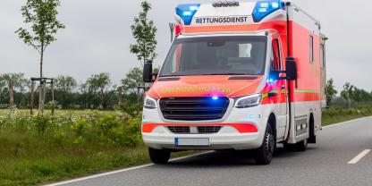 Ein Hirsch wurde im Heidekreis bei einem Unfall gegen einen entgegenkommenden Transporter geschleudert, der Beifahrer war sofort tot (Symbolbild).