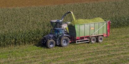 Die Maisernte fiel regional unterschiedlich aus – in den meisten Fällen wurden die Anhänger aber nicht so voll wie im letzten Jahr.