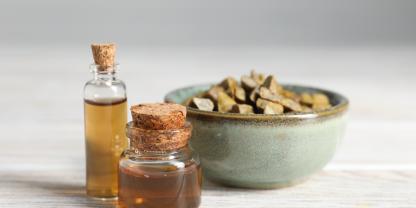 Propolis-Tinktur selber machen