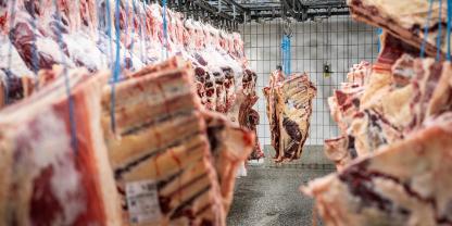 schlachthof-waldkraiburg_20231024-JB404192