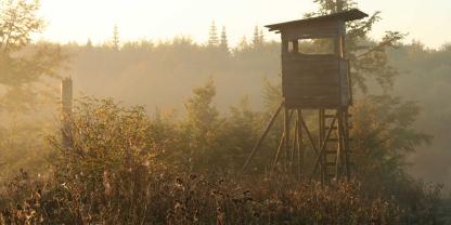 Tierschützer zerstörten mehrere Hochsitze.