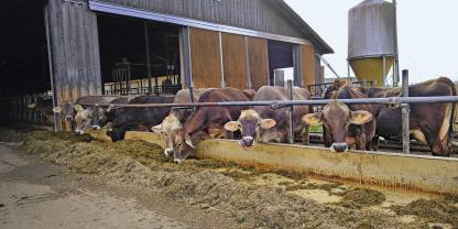 Sehr beliebt sind die Fressplätze im Freien, und das bei jedem Wetter.