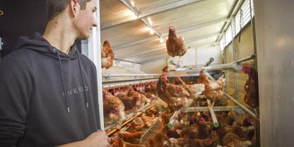 Juniorchef Christian Holzer kontrolliert, wie es den Legehennen geht und ob im Stall alles funktioniert.