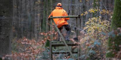Auch im Jahr 2025 war in der jagdlichen Welt wieder viel los.