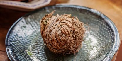 Rose von Jericho: Echt oder unecht?