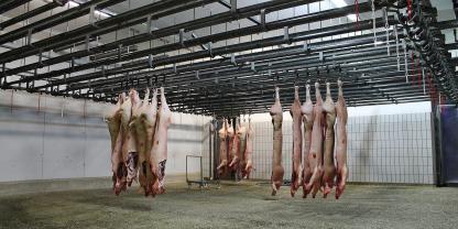 Schwerer Verdacht: Ist die Schließung des Schweine-Schlachthofs in Perleberg Ergebnis eines Deals zwischen zwei Wettbewerbern?