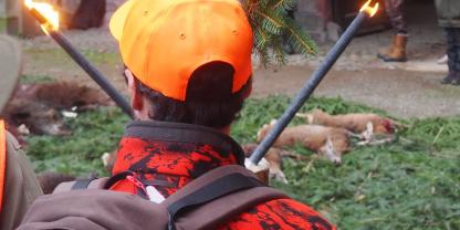 Bayerns Jäger blickten im Jagdjahr 2024/2025 auf ein gutes Jagdjahr.