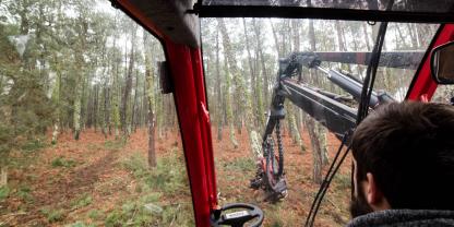 Schöner Ausblick: Für Harvesterfahrer und andere Maschinenführer soll die Arbeit für den Bundesforst attraktiver werden.