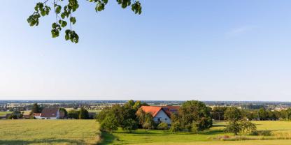 Landwirtschaft-Obstbäume-AdobeStock_376935196