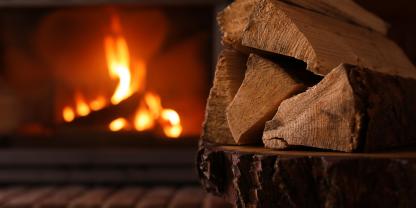 Ob für den Kamin oder die Heizanlage: Brennholz ist gefragt.