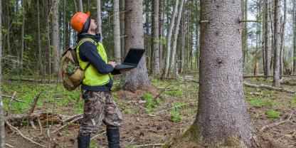 Digitalisierung und Wald schließen sich nicht aus.