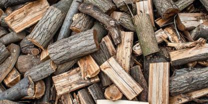Brennholz muss nicht schön aussehen. Dafür plädiert ein Holzexperte in seinem Video. Er klärt auf, ob man stockiges Holz noch verheizen darf. (SYMBOLBILD)