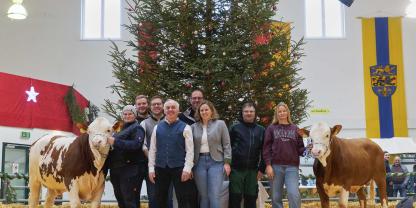 Starker Auftritt und doppelte Bescherung für das Team des Zuchtbetriebs Böhm. Mit einem Wundawerk-Sohn (links) und einem Witness-Sohn (rechts) konnte man die Spitzenpreise 140.000 bzw. 160.000 Euro erzielen.