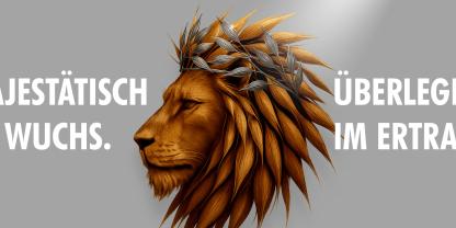 Sommerhafer: Chancen nutzen, Qualität sichern