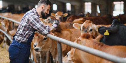 Auch im neuen Jahr stehen für Rinderhalter einige Änderungen bevor.