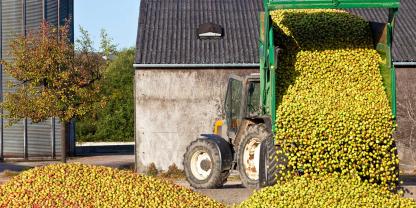 Landwirt-Obst-Brennerei-Bauernhof-AdobeStock_107325750