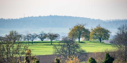 Landwirtschaft-Baden-Württemberg-AdobeStock_1067861182