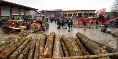 Fast das gesamte Firmenareal in Darast wurde anlässlich der EiFo-Forsttage 2025 zum Ausstellungsgelände umfunktioniert. Besonders beliebt waren die Live-Vorführungen.