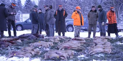 Wieviele Rehe erlegt werden (dürfen) und wie das am Ende nachzuweisen ist, darüber stritten in Bayern lange Zeit das (zuständige) Wirtschafts- und das Landwirtschaftsministerium.