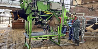 Beim Praxisseminar konnten die Teilnehmer auch selbst direkt an der Klaue üben.