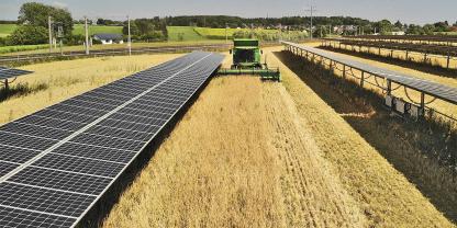 Agri-PV-Anlage von Doppelernte in Althegnenberg/Bayern: Getreideernte zwischen Tracker-Solarmodulen.