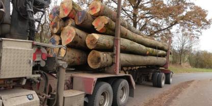 Ein überladener Holztransporter auf der Autobahn