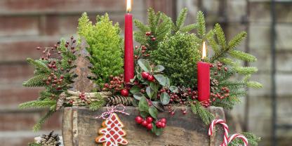 Deko-Kiste_563837694_Adobe V - AT-Online