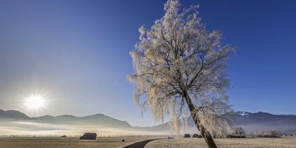 Moorlandschaft in der Gegend um Loisach und Kochelsee.