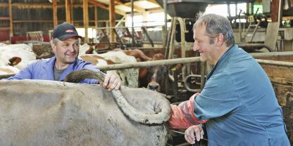 Sicher im Stall arbeiten: Für Milchviehhalter Roland Hummel (links) und Besamungstechniker Ludwig Stechele ist das ein wichtiges Anliegen. Denn letztlich profitieren beide von mehr Arbeitsschutz.