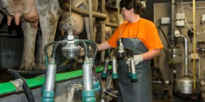 Das Einkommen in der Landwirtschaft wäscht nach ersten Prognosen deutlich. Lange Zeit gute Milchpreise sind ein Grund dafür.