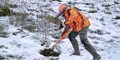 Insbesondere kleine Frettchenfähen bringen schnell Bewegung im Bau und fangen oder halten seltener mal ein Wildkaninchen.