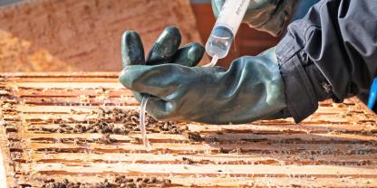 Mit einer Spritze kann die Oxalsäure auf die Bienen geträufelt werden. Foto: Ute Schneider-Ritter