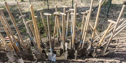 Blindtext zählen zu den wenen Ausnahmen, die man besSolup tat tet ipisqui id quiester ds