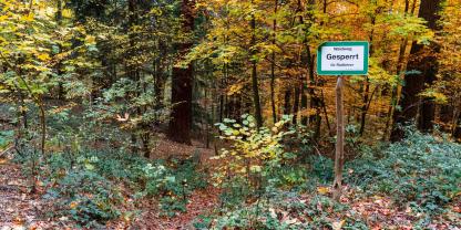 Waldweg-Gesperrt-AdobeStock_232658000