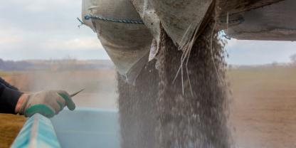 Dünger-Landwirt-Feld-AdobeStock_80427062