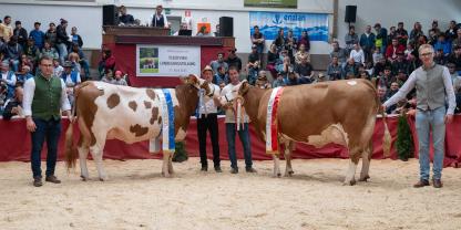 Euterchampion und Champion mittel wurde die dreikälbrige Etoscha-Tochter Elfriede (MV: Virgulto) von Elias Gatterer, Terenten. Reserve-Euterchampion wurde die Der-Beste-Tochter (MV: Zaspin) Kandy von Albin Gietl, St.Magdalena/Gsies.