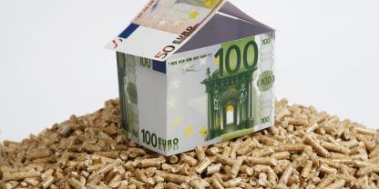 Pellets mit Haus aus Geldscheinen