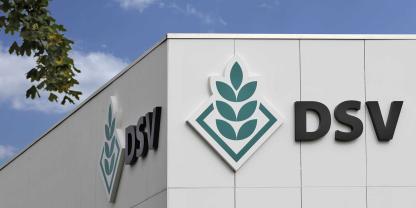 Logo der DSV AG, Lippstadt