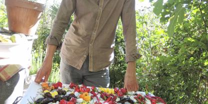 Kaum einer baut inseinem Garten so viele Chilis an: Der Chili-Rudihat den Dreh raus.