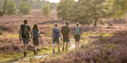 Wanderer in der Lüneburger Heide 