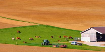 Bauernhof-Kühe-Felder-AdobeStock_81994145