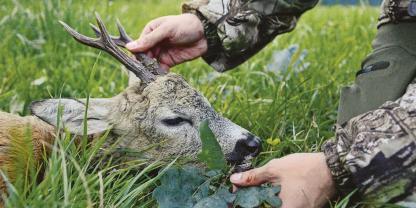 Die Vergabe des letzten Bissens ist auch ein Moment der Einkehr. Ein kurzes Innehalten, um dem erlegten Stück seinen Respekt zu zeigen.
