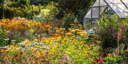 Die Gartensaison in 2025 war geprägt von einem trockenen Frühling und einem nassen Sommer.