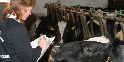 Frauen sind Säulen der kleinstrukturierten Landwirtschaft. Sie führen fast jeden dritten Hof in Österreich, aber nur selten sind es größere Betriebe.
