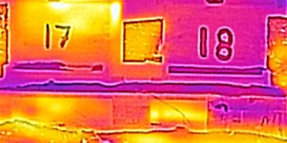 Mit einer Wärmebildkamera lassen sich die Bienen kontrollieren, ohne den Kasten zu öffnen. Das Volk links sitzt unterm Deckel, während das Volk rechts tot ist. Foto: Robert Perdelwitz