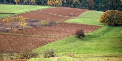 Wald-Acker-AdobeStock_389722698